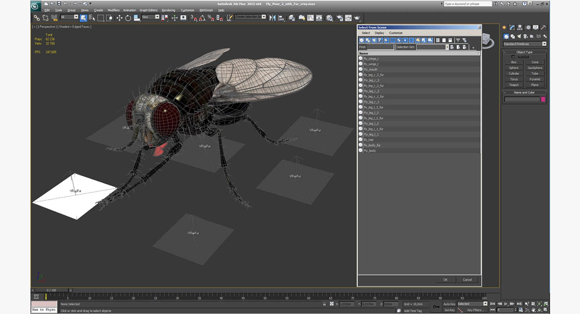 3d fly pose 2 fur https://p.turbosquid.com/ts-thumb/Hy/j1M0rW/fHiaYx7U/flypose2withfur3dsmodel019/jpg/1483092482/1920x1080/fit_q87/15f8fea4bc970f7875a05f08a202b75e853c8116/flypose2withfur3dsmodel019.jpg