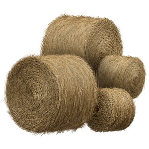 Hay in rolls Straw in rolls 3D model