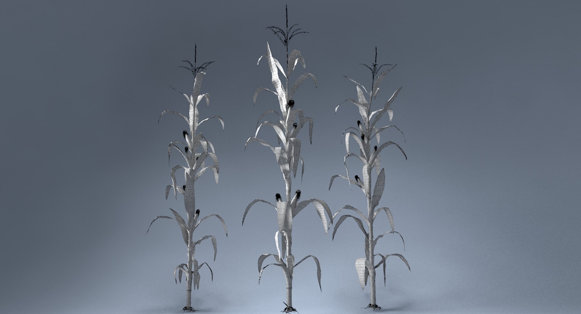 corn farm field 3d max https://p.turbosquid.com/ts-thumb/Hy/qGFg6R/WCobxS3j/12/jpg/1527437591/1920x1080/fit_q87/961ceb2c922b1825b5cd972ab88457b973e95600/12.jpg