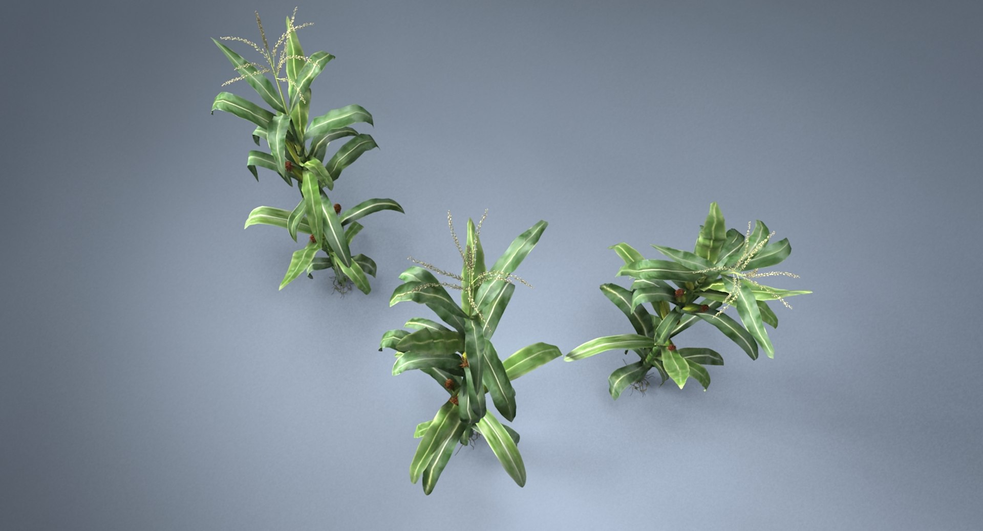 corn farm field 3d max https://p.turbosquid.com/ts-thumb/Hy/qGFg6R/XMtYew38/10/jpg/1527437591/1920x1080/fit_q87/4ec232715be8d1149e5402abee3dd6cf73ebdabd/10.jpg