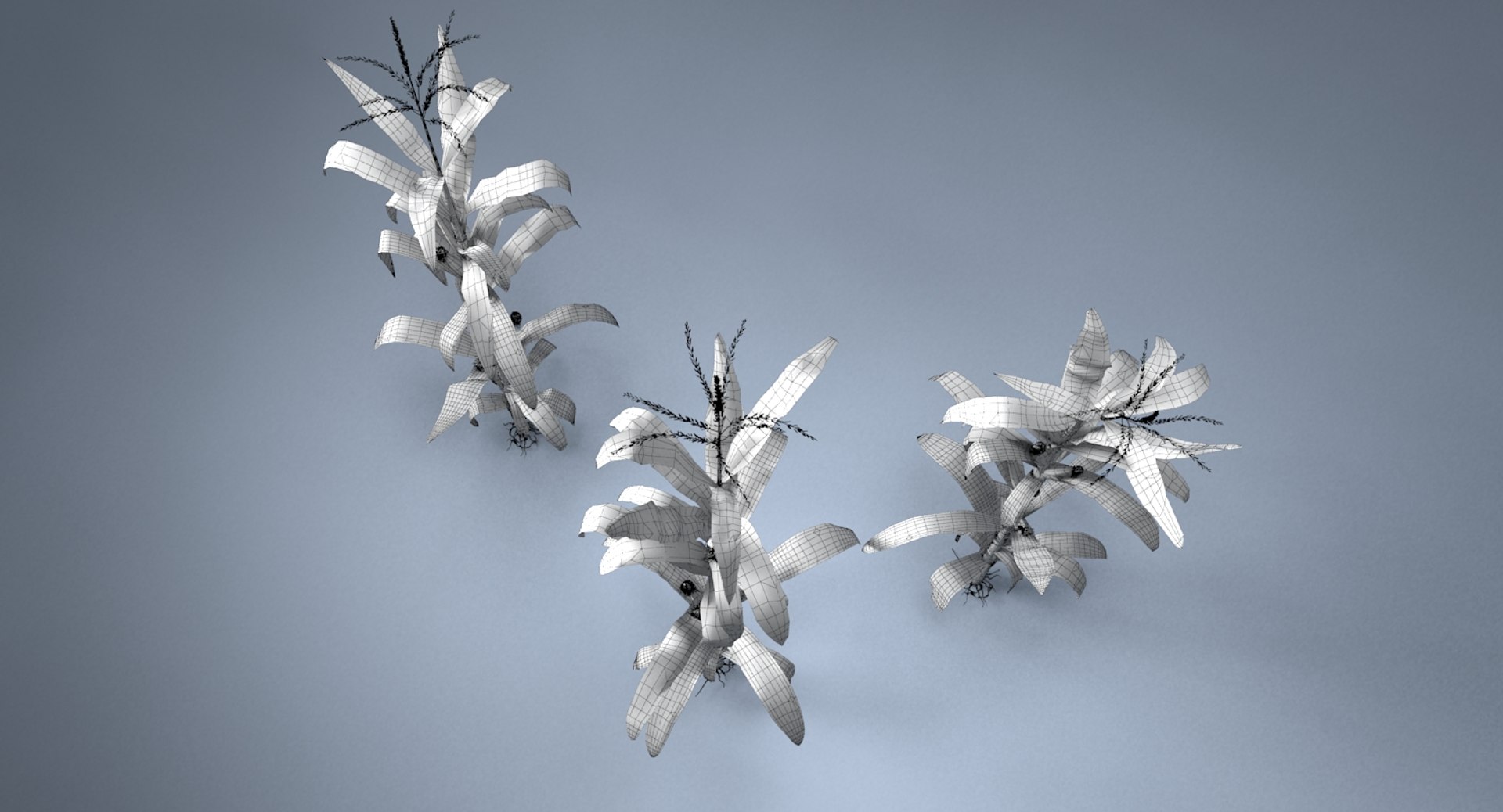 corn farm field 3d max https://p.turbosquid.com/ts-thumb/Hy/qGFg6R/eg0qEsqk/11/jpg/1527437591/1920x1080/fit_q87/cf6d2fa1ca7bebcfb8eba63c49f739a9f79c13fd/11.jpg