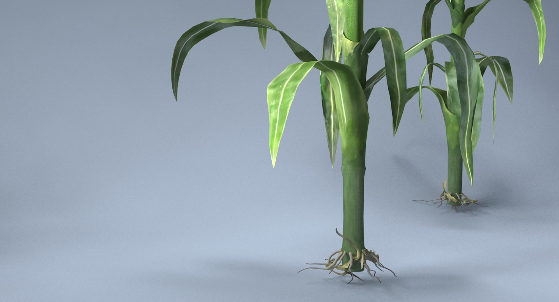 corn farm field 3d max https://p.turbosquid.com/ts-thumb/Hy/qGFg6R/pPi82TmI/3/jpg/1527437590/1920x1080/fit_q87/3e7add83e6784c5e8f54c95c0851a629d7dc20da/3.jpg