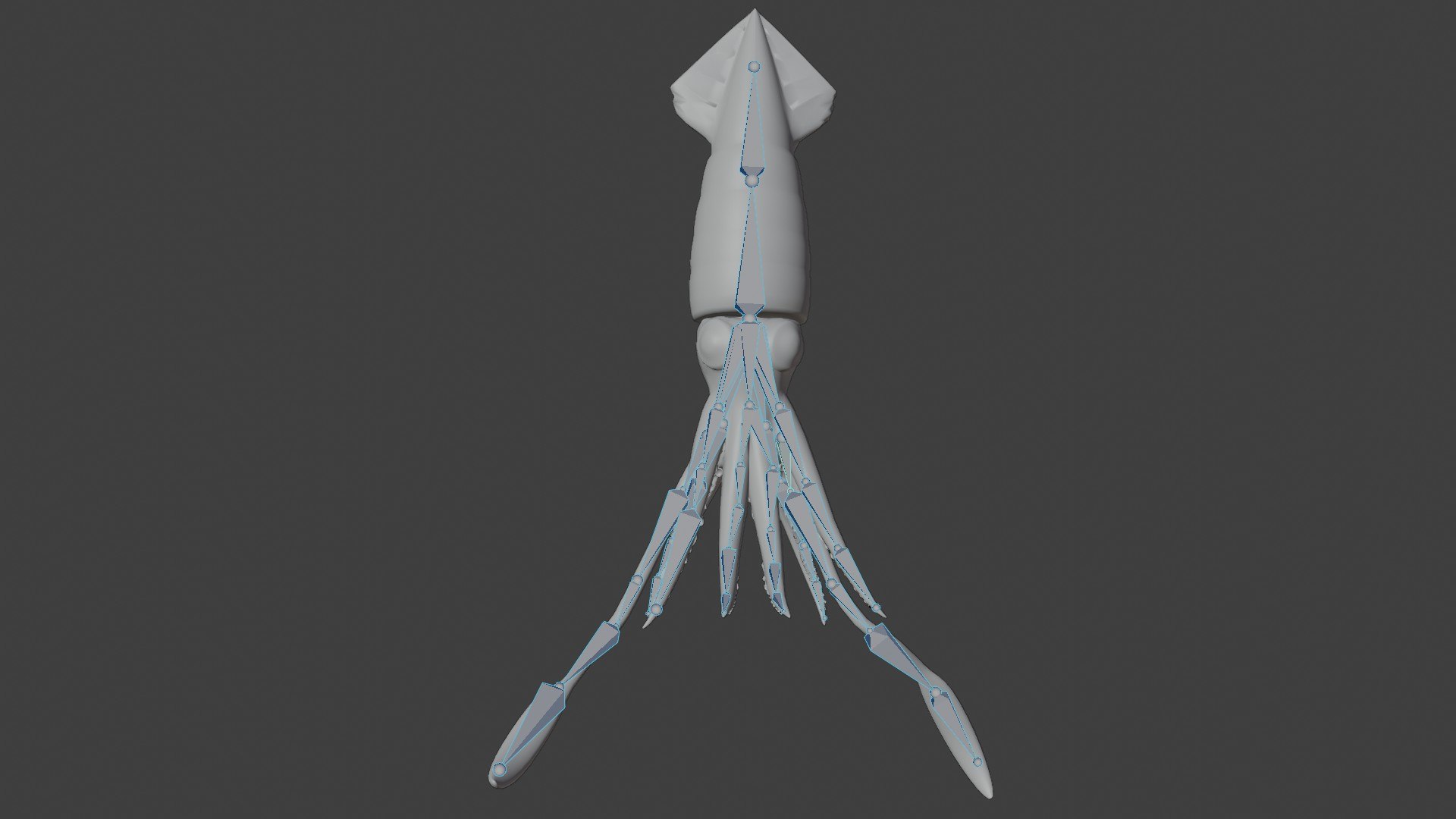 fully rigged squid 3D https://p.turbosquid.com/ts-thumb/Hy/tDWXQO/8O/08/jpg/1612909208/1920x1080/fit_q87/59129cede84bac998b0067e38bb367edad501bad/08.jpg