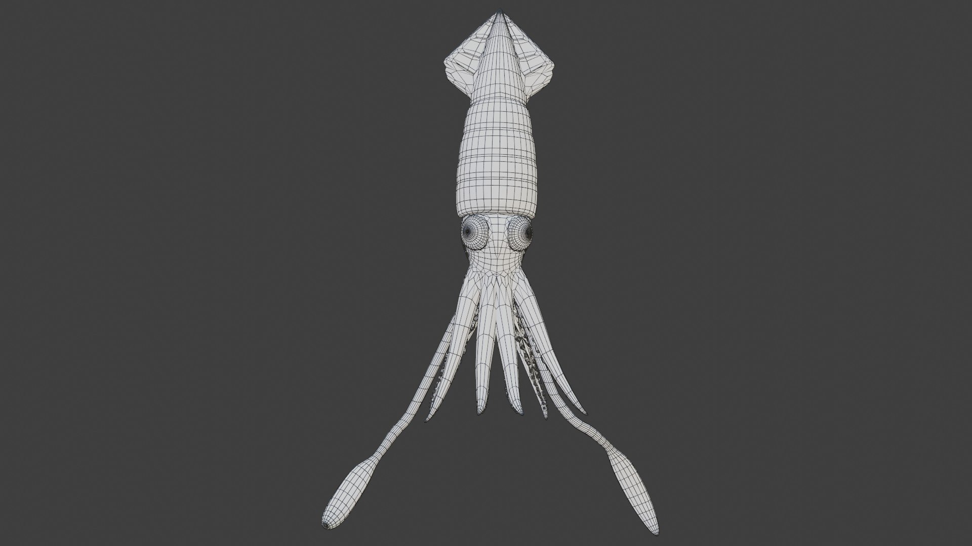 fully rigged squid 3D https://p.turbosquid.com/ts-thumb/Hy/tDWXQO/Km/09/jpg/1612909209/1920x1080/fit_q87/9a43f47a4f13b6b9385867fe844232a9ac3c6daa/09.jpg