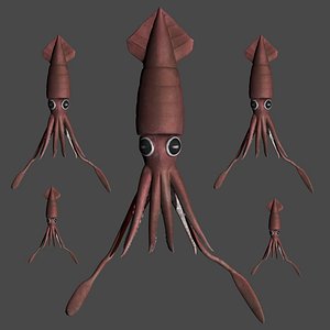 fully rigged squid 3D