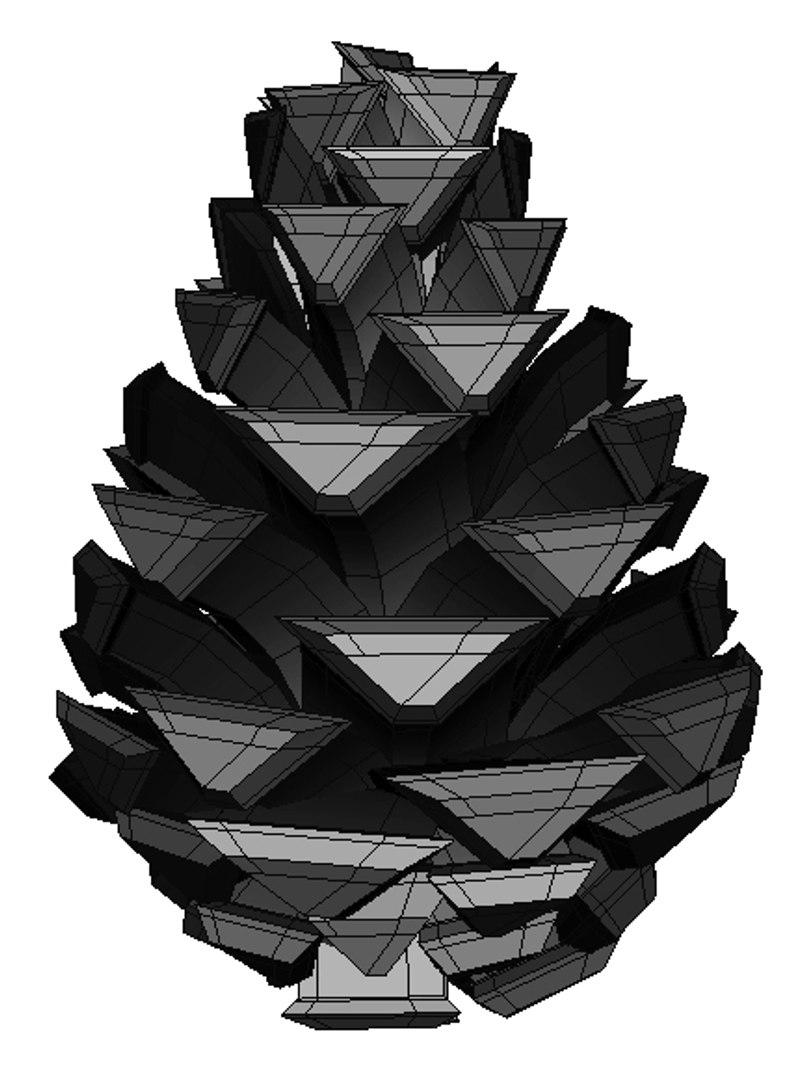 3D pine cone https://p.turbosquid.com/ts-thumb/Hy/udtno1/K7n2mRyl/01/jpg/1509186491/1920x1080/fit_q87/28b3664c49d14cb24c6e6c0950204bfbfcb54813/01.jpg