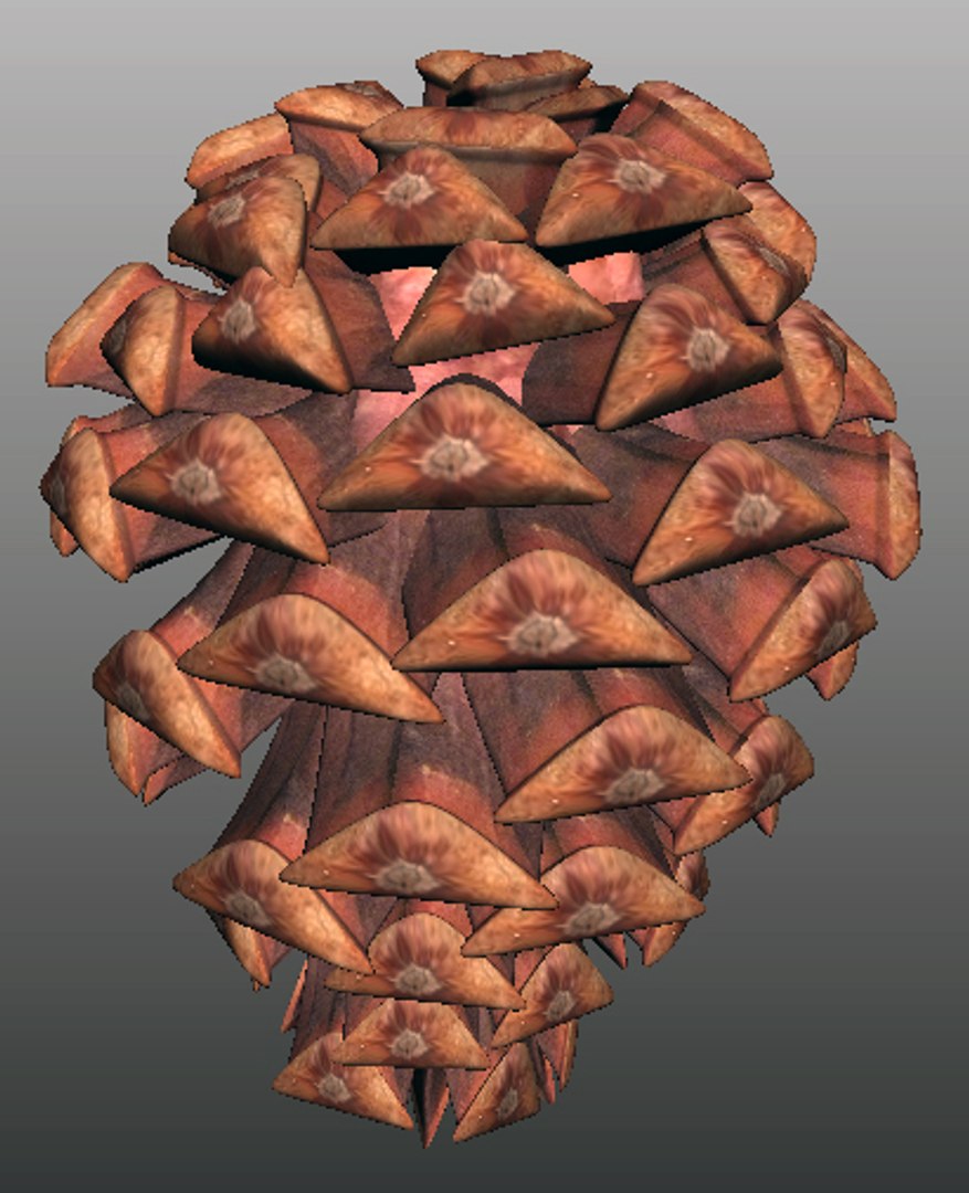 3D pine cone https://p.turbosquid.com/ts-thumb/Hy/udtno1/l74QrhPz/03/jpg/1509187165/1920x1080/fit_q87/71a3c9510f8cbdf77748affaf63e094b85ae33c3/03.jpg
