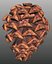 Pine cone