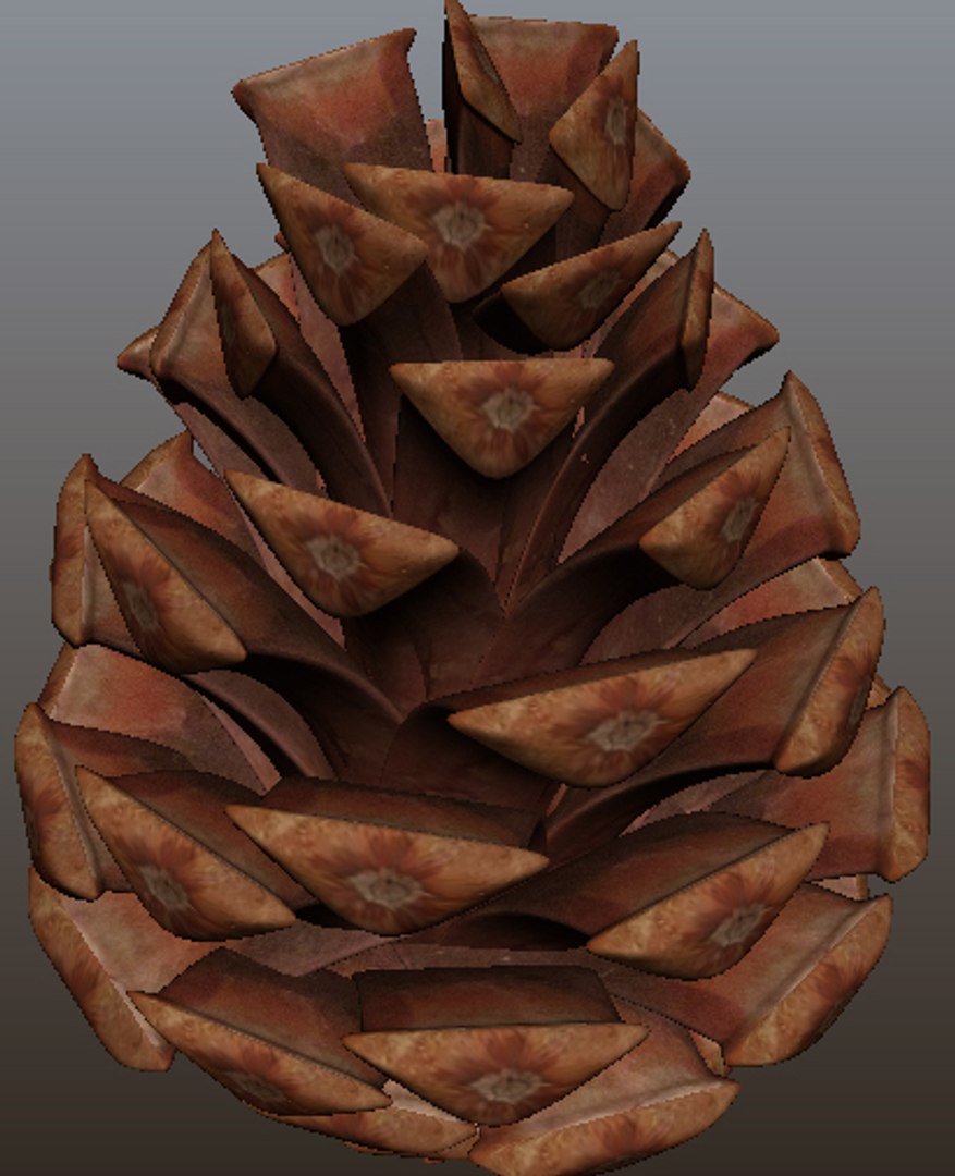3D pine cone https://p.turbosquid.com/ts-thumb/Hy/udtno1/mAuuTgQ3/04/jpg/1509187185/1920x1080/fit_q87/73fdf188ec9d69d2589deecf7ccd864537ec7492/04.jpg