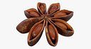 Star Anise