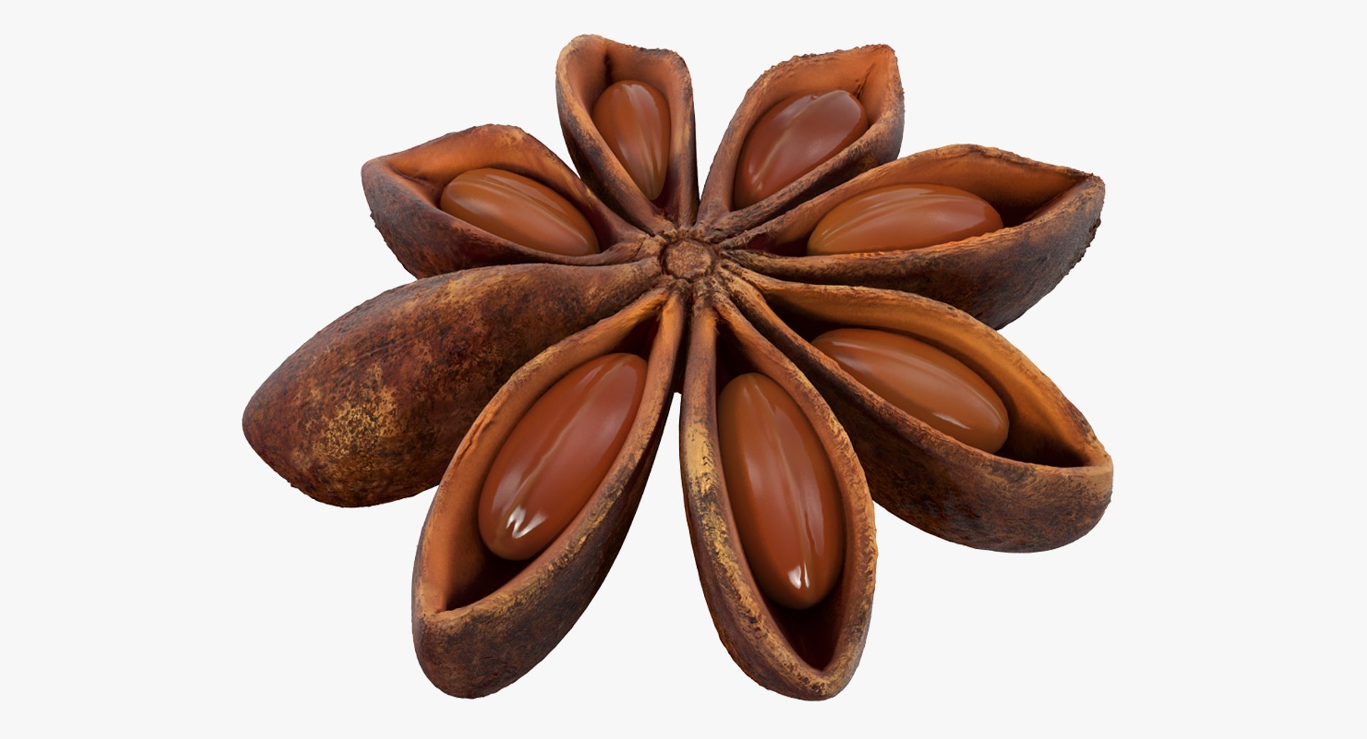 Spices Collection 5 3D model https://p.turbosquid.com/ts-thumb/Hy/wPCXmr/n76S6H82/cinnamonseedvray3dmodel001/jpg/1788481889/1920x1080/fit_q87/0ec6c76afc6a9e62fef368e8eac75cea2b5c0cf6/cinnamonseedvray3dmodel001.jpg