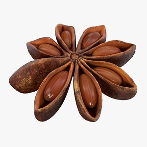 3D star anise