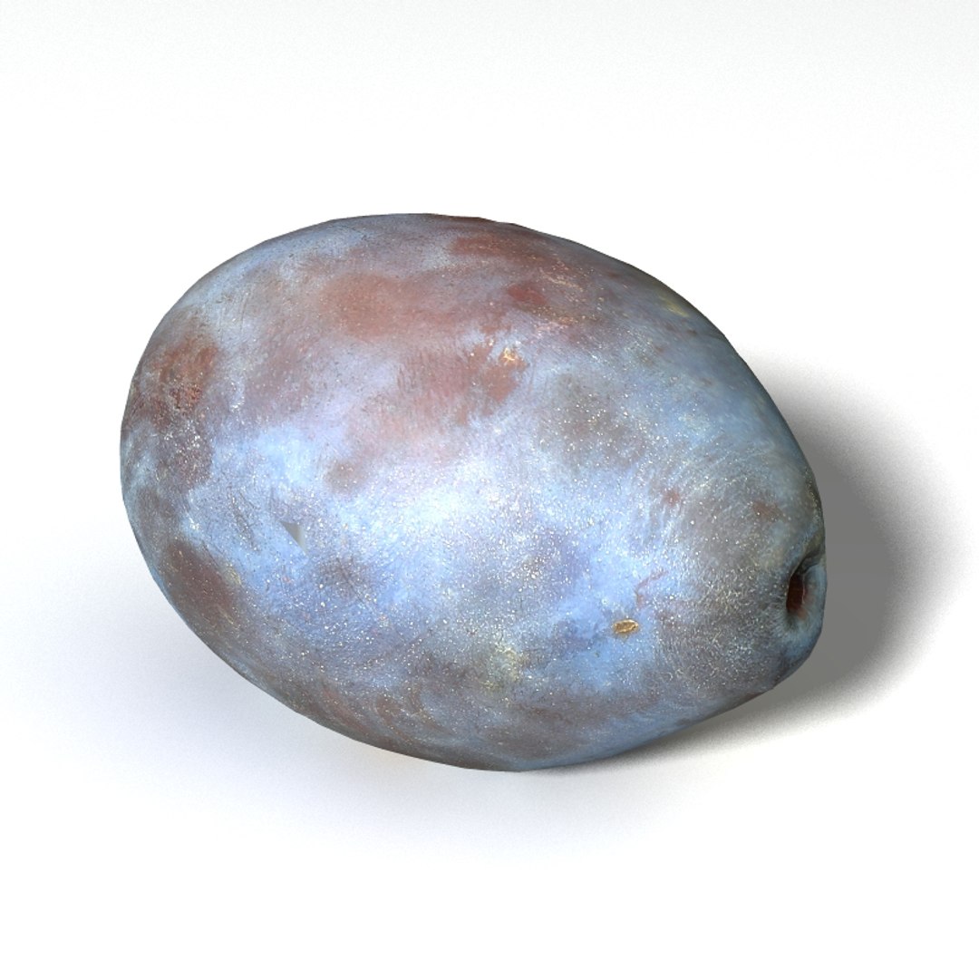 plum 3D model https://p.turbosquid.com/ts-thumb/Hz/09bZ5Z/UjkTc7Vi/plum1_th01/jpg/1504928123/1920x1080/fit_q87/0e03e70351b33a624a07bdbf4834cfd7916cd894/plum1_th01.jpg