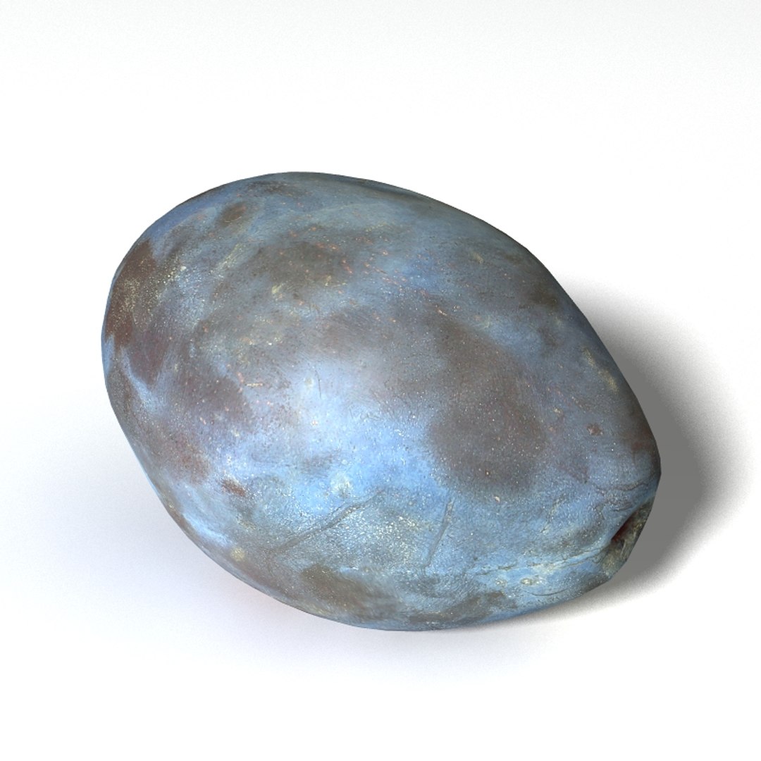 plum 3D model https://p.turbosquid.com/ts-thumb/Hz/09bZ5Z/qzPAguFF/plum1_th05/jpg/1504928123/1920x1080/fit_q87/afed8564f677d61f887f315f2f60d36f177f5749/plum1_th05.jpg