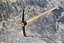 Garden Mattock 3D Model