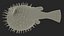Inflated Puffer Fish
