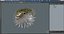 Inflated Puffer Fish