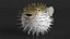 Inflated Puffer Fish
