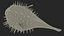 Inflated Puffer Fish
