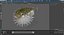 Inflated Puffer Fish