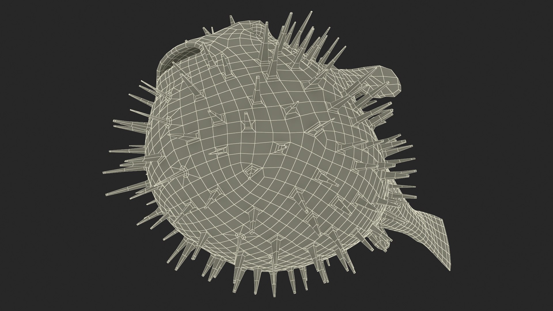 Inflated Puffer Fish 3D Model - TurboSquid 2191745