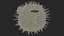 Inflated Puffer Fish
