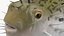 Inflated Puffer Fish