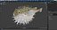 Inflated Puffer Fish