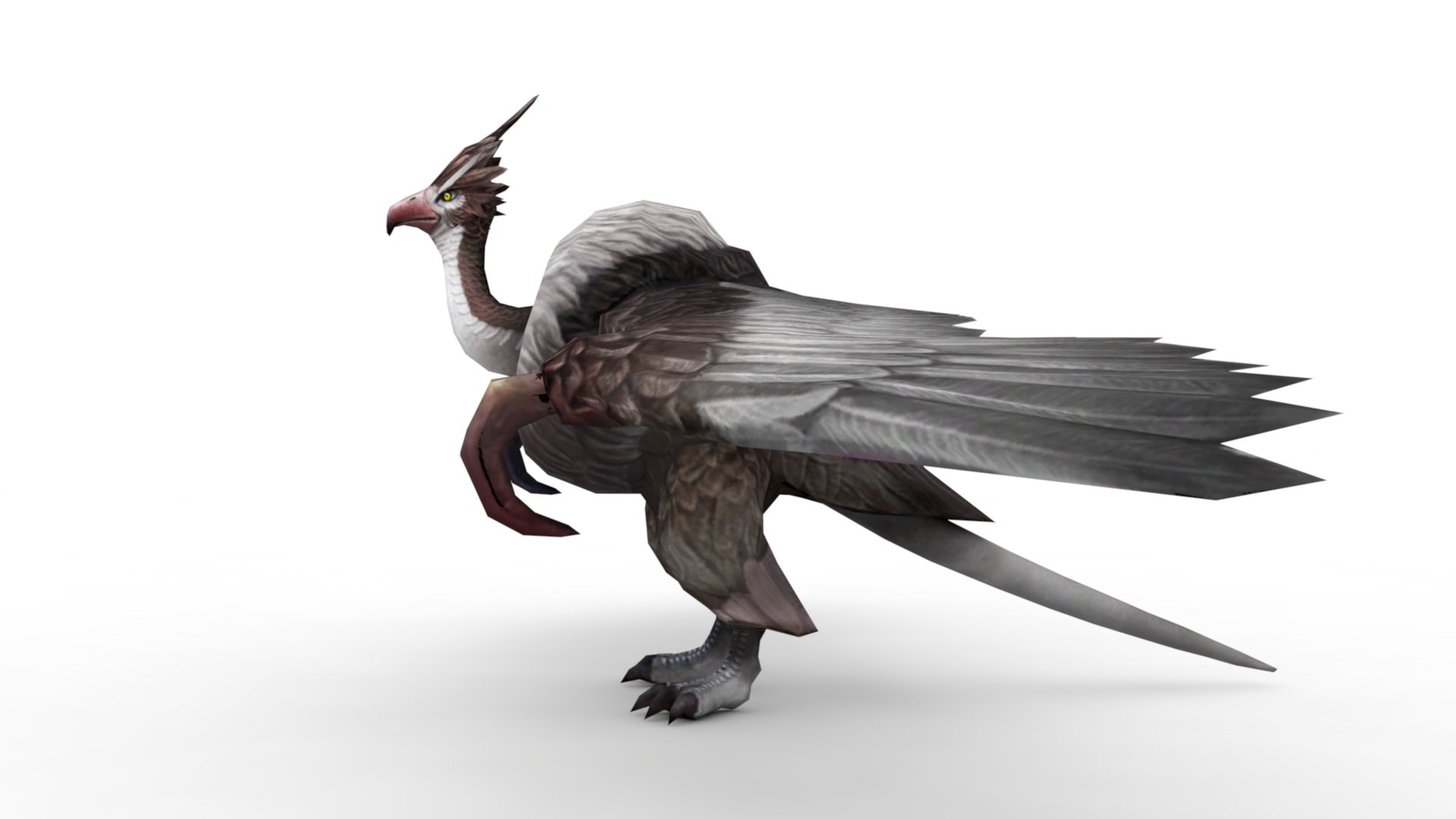 3D Model Condor - TurboSquid 1955483