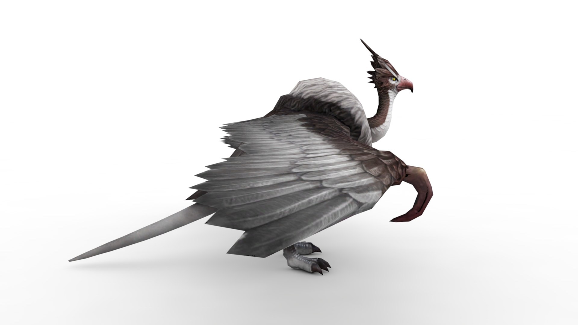 3D Model Condor - TurboSquid 1955483