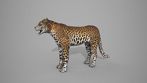 LEAPORD 3D model