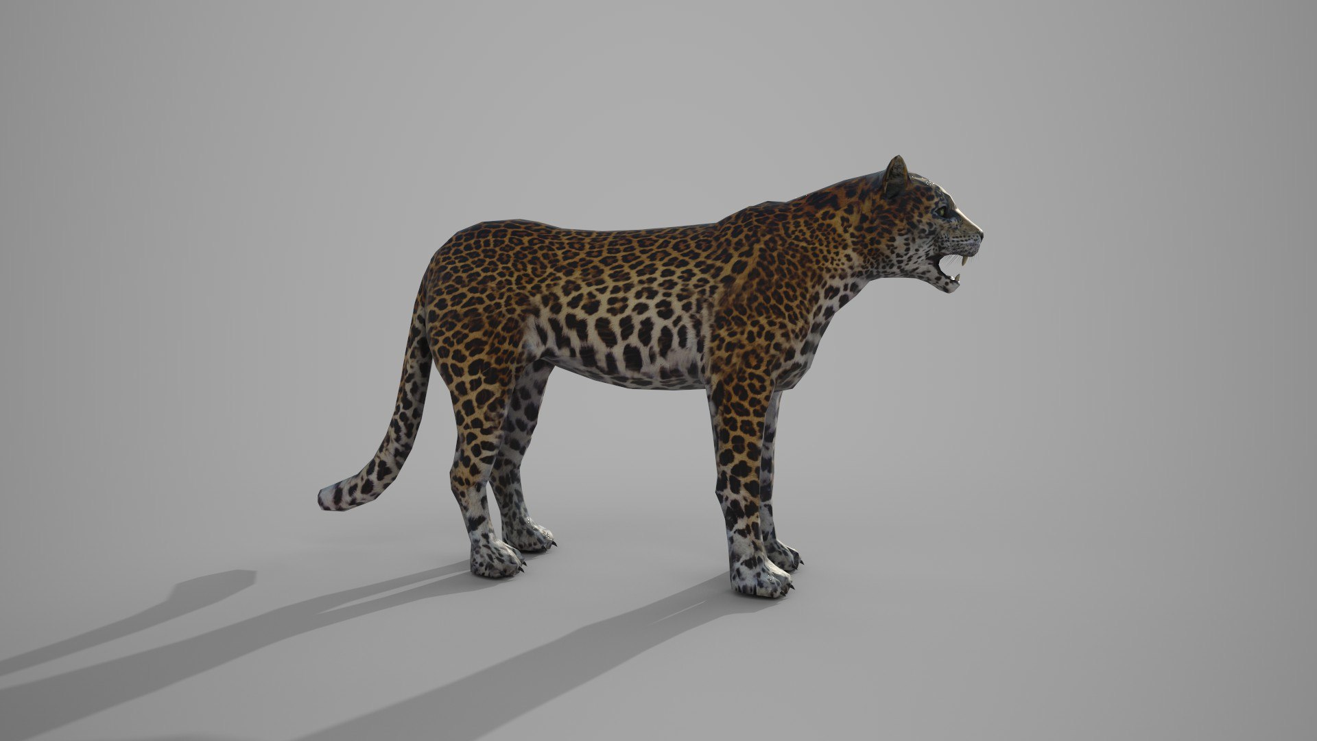 LEAPORD 3D model https://p.turbosquid.com/ts-thumb/Hz/X579ef/3Q/9/jpg/1672036450/1920x1080/fit_q87/d78097fd3213bf90fb8d60f9f7fdc436b5abb867/9.jpg