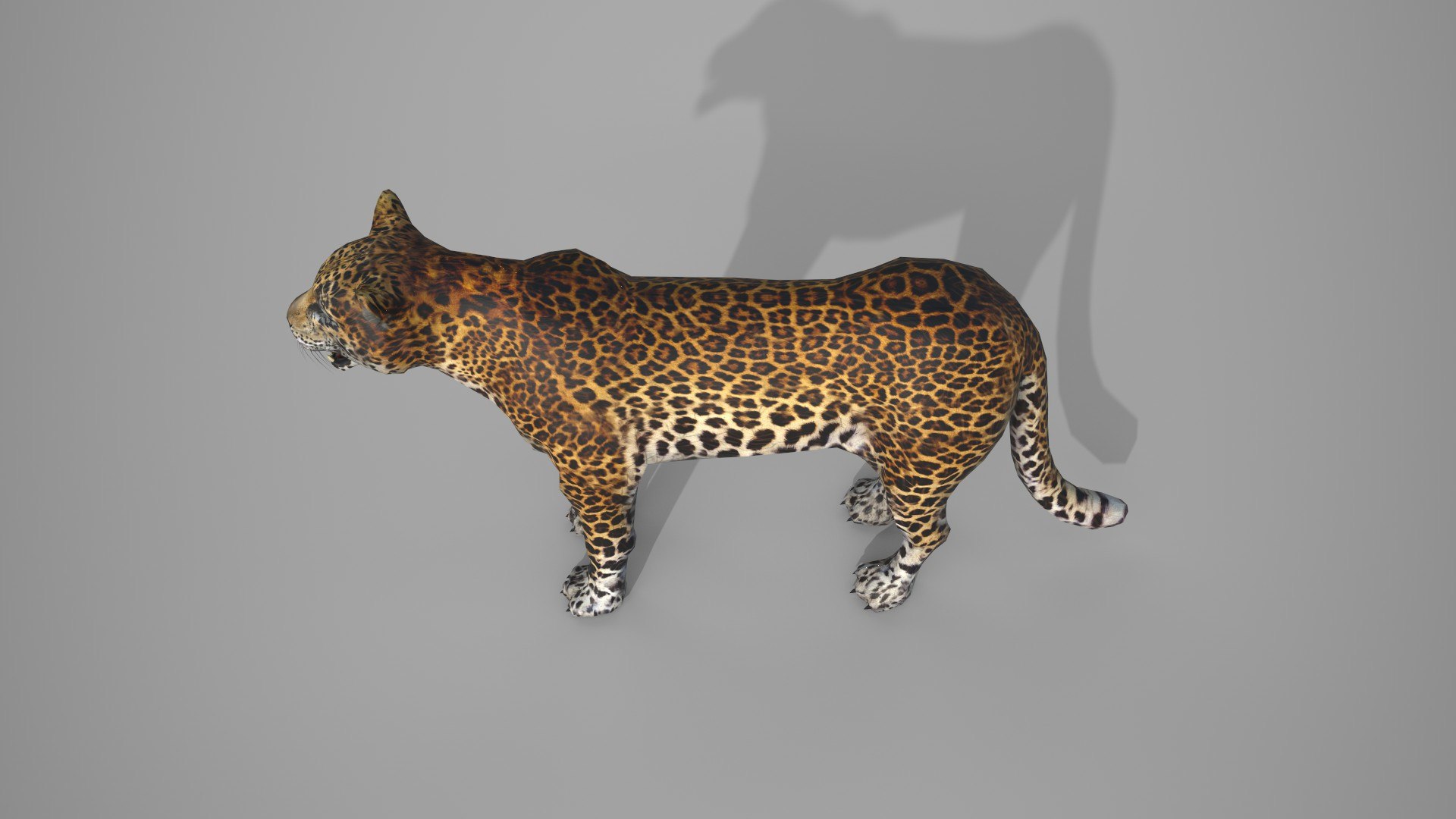 LEAPORD 3D model https://p.turbosquid.com/ts-thumb/Hz/X579ef/6T/18/jpg/1672036453/1920x1080/fit_q87/1a797fc630f11d85f4511fece8396738543ce7c3/18.jpg
