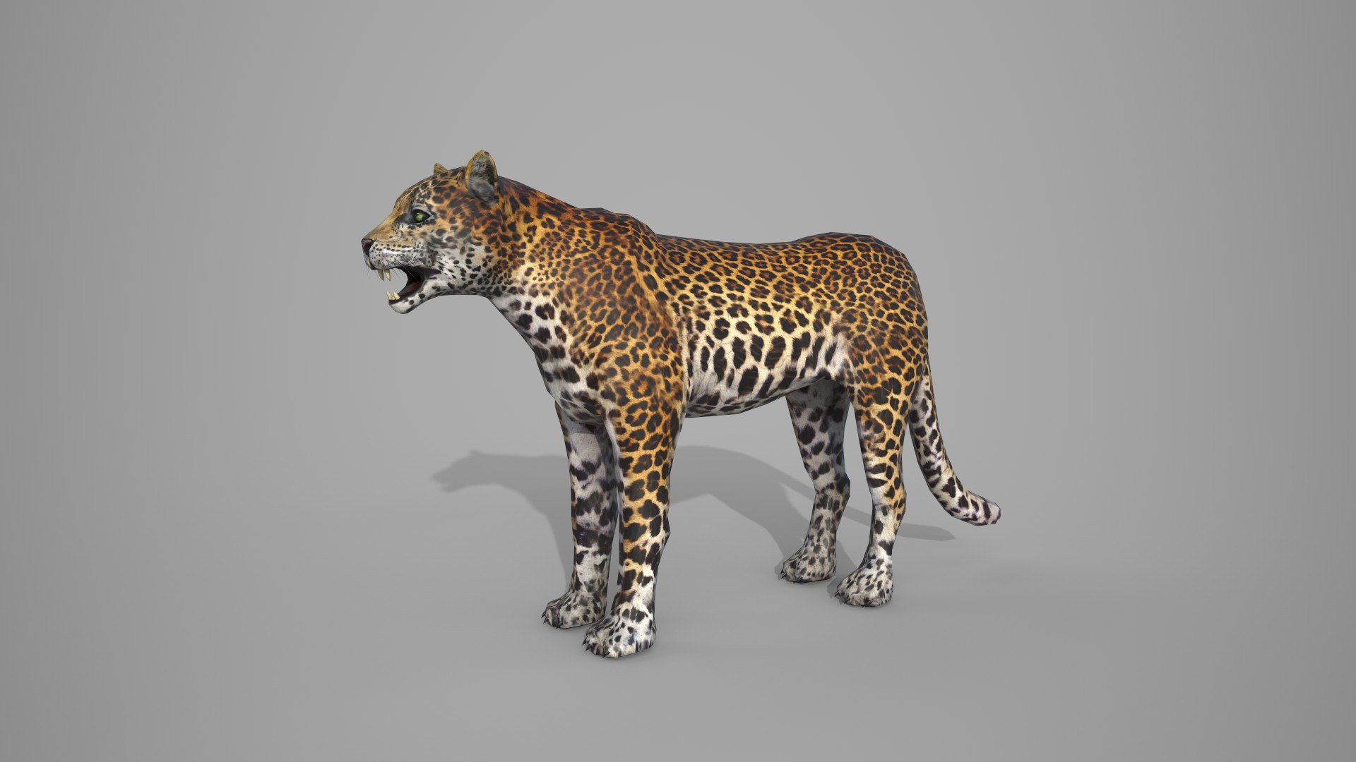 LEAPORD 3D model https://p.turbosquid.com/ts-thumb/Hz/X579ef/Bq/13/jpg/1672036375/1920x1080/fit_q87/4fac3f95bcb8970f66b6dfb41c6740e643c4b935/13.jpg