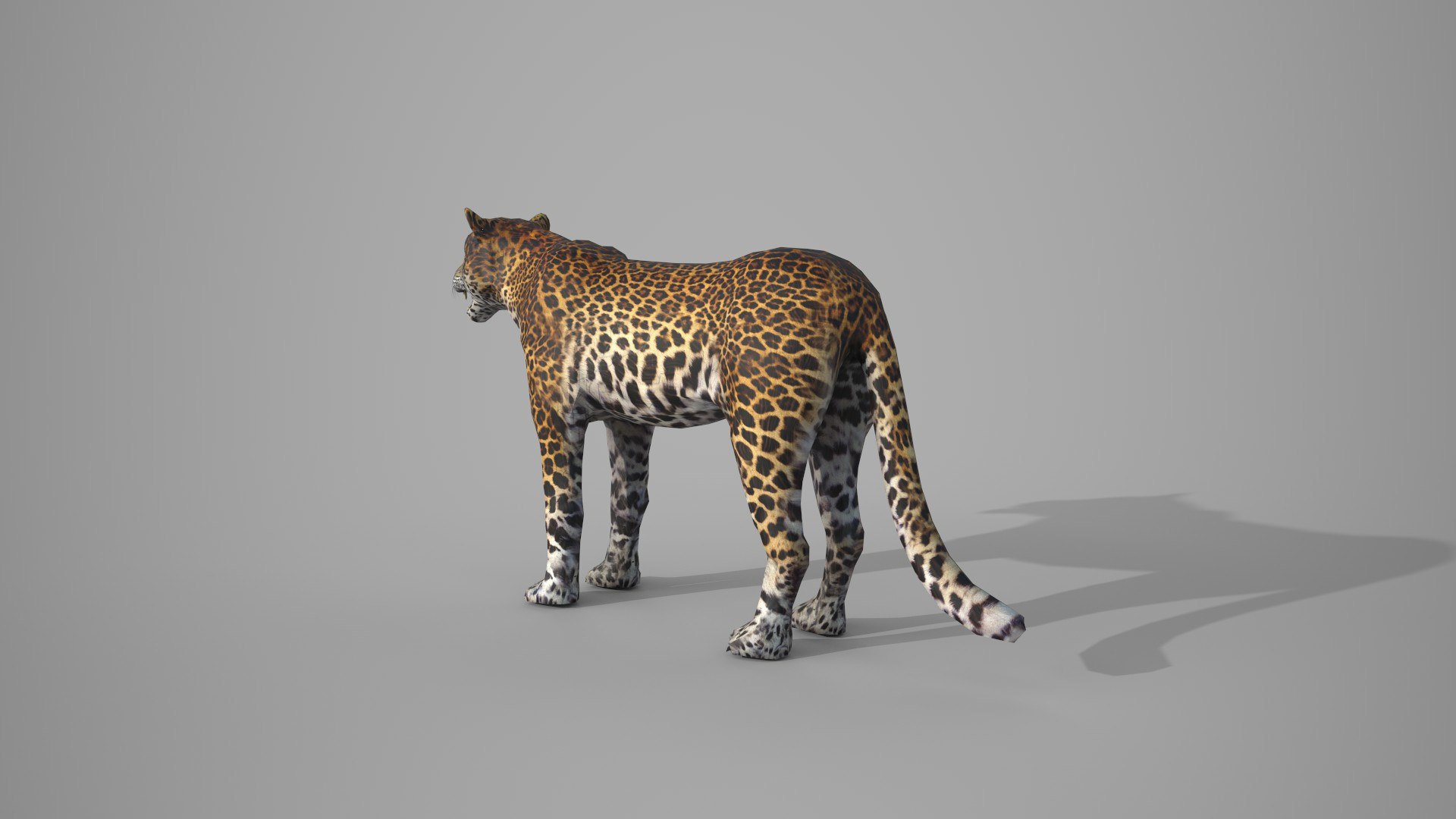 LEAPORD 3D model https://p.turbosquid.com/ts-thumb/Hz/X579ef/Cz/5/jpg/1672036447/1920x1080/fit_q87/4aac2883eaf2329c07b0aff133275d1f3815448f/5.jpg