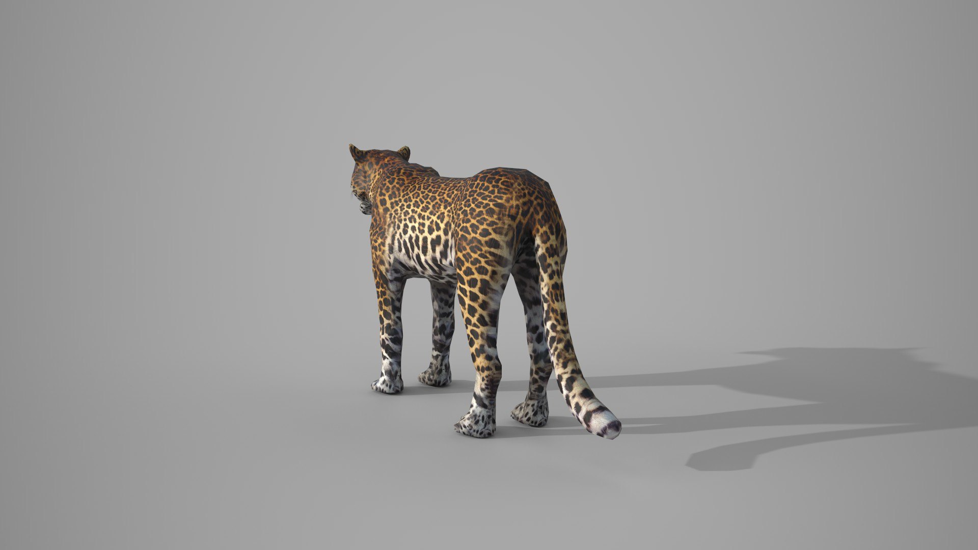 LEAPORD 3D model https://p.turbosquid.com/ts-thumb/Hz/X579ef/R6/6/jpg/1672036448/1920x1080/fit_q87/64e126830faedac86ded8b0dd2bf666dc2b4cfc7/6.jpg