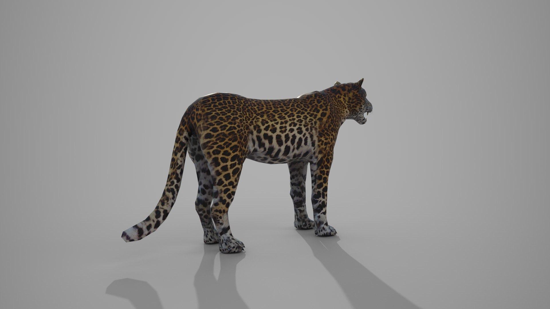 LEAPORD 3D model https://p.turbosquid.com/ts-thumb/Hz/X579ef/XG/8/jpg/1672036449/1920x1080/fit_q87/cf02db4441a6d9f3876955cdd3ed5e921b309010/8.jpg
