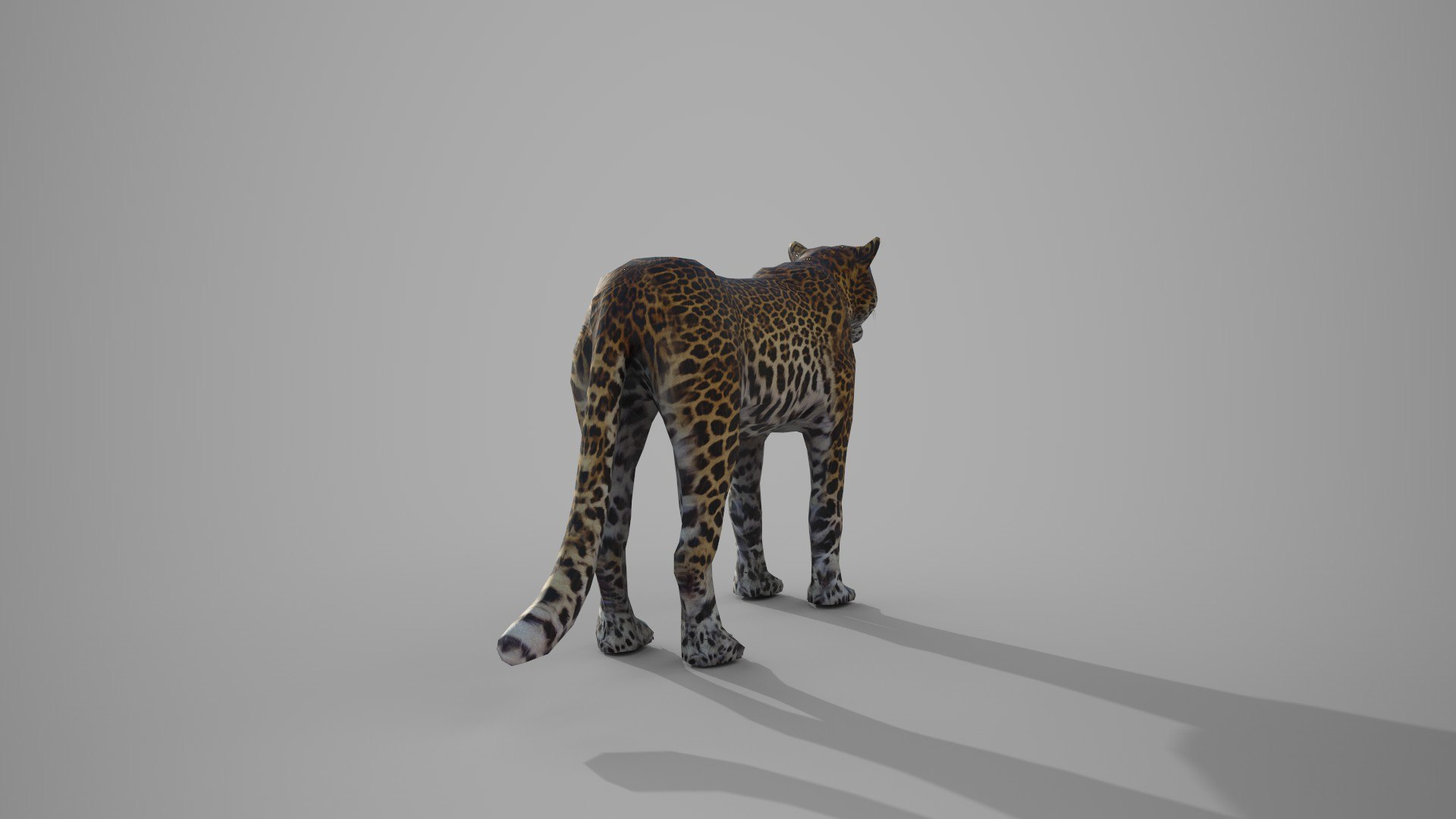 LEAPORD 3D model https://p.turbosquid.com/ts-thumb/Hz/X579ef/kK/7/jpg/1672036449/1920x1080/fit_q87/9eea788dfaebe167fbac858337944068a9066c70/7.jpg