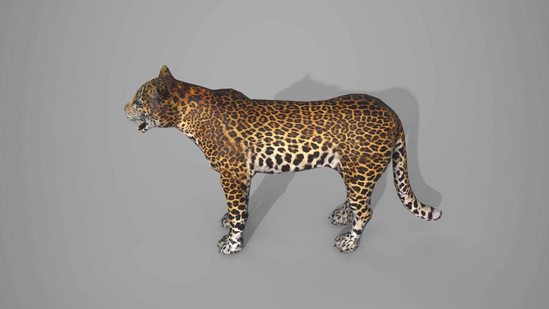 LEAPORD 3D model https://p.turbosquid.com/ts-thumb/Hz/X579ef/oh/16/jpg/1672036452/1920x1080/fit_q87/14f1253c84db2925f90b4047b307ad2f913cc75e/16.jpg