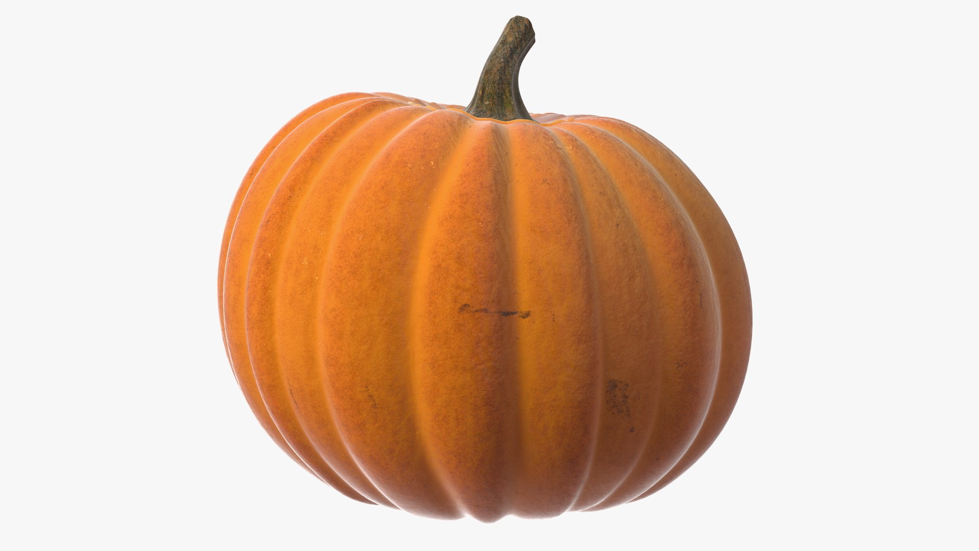Carved Pumpkin 3D model https://p.turbosquid.com/ts-thumb/Hz/ZmTIMe/ap/carved_pumpkin_007/jpg/1741510360/1920x1080/fit_q87/c63fc24614ab2f6437b49d5a17d49d90dad02edf/carved_pumpkin_007.jpg
