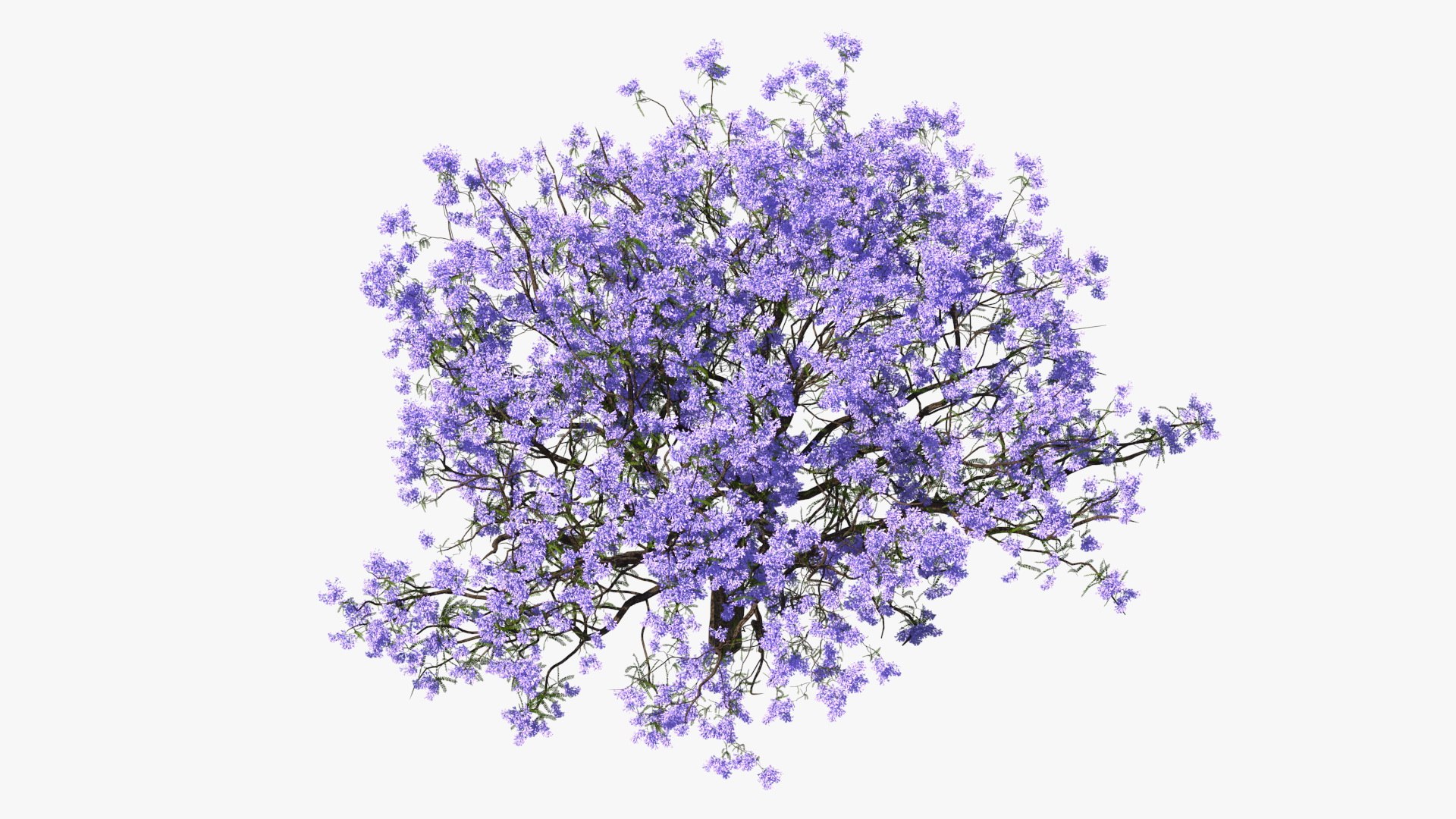 flowering bushes trees 5 3D https://p.turbosquid.com/ts-thumb/Hz/bYCAkO/3zohUNFd/floweringbushesandtreescollection53dmodel008/jpg/1585054137/1920x1080/fit_q87/fa5ad257a4f6b0bcb03f66098a844192a51d0620/floweringbushesandtreescollection53dmodel008.jpg
