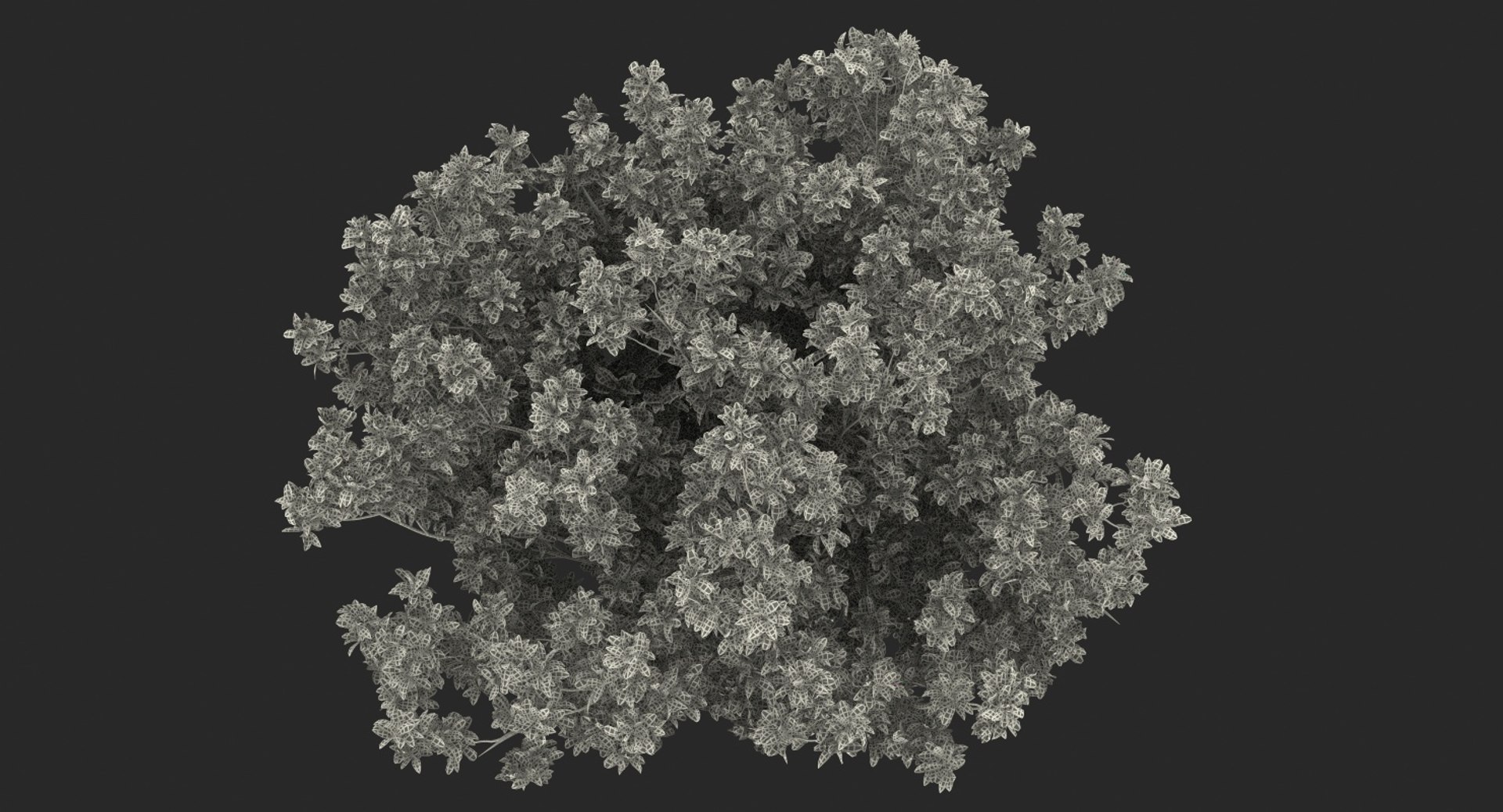 flowering bushes trees 5 3D https://p.turbosquid.com/ts-thumb/Hz/bYCAkO/5fSGDion/floweringbushesandtreescollection53dmodel083/jpg/1585054263/1920x1080/fit_q87/5567b528acea3ebad7b0974ce2e3997305577b8b/floweringbushesandtreescollection53dmodel083.jpg