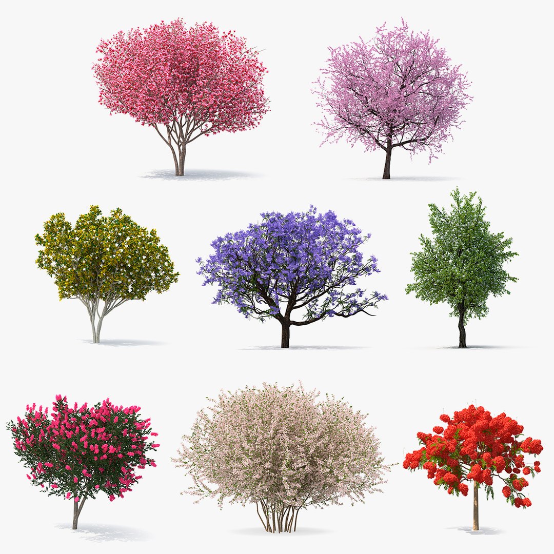 Flowering Bushes and Trees Collection 5 3D model preview