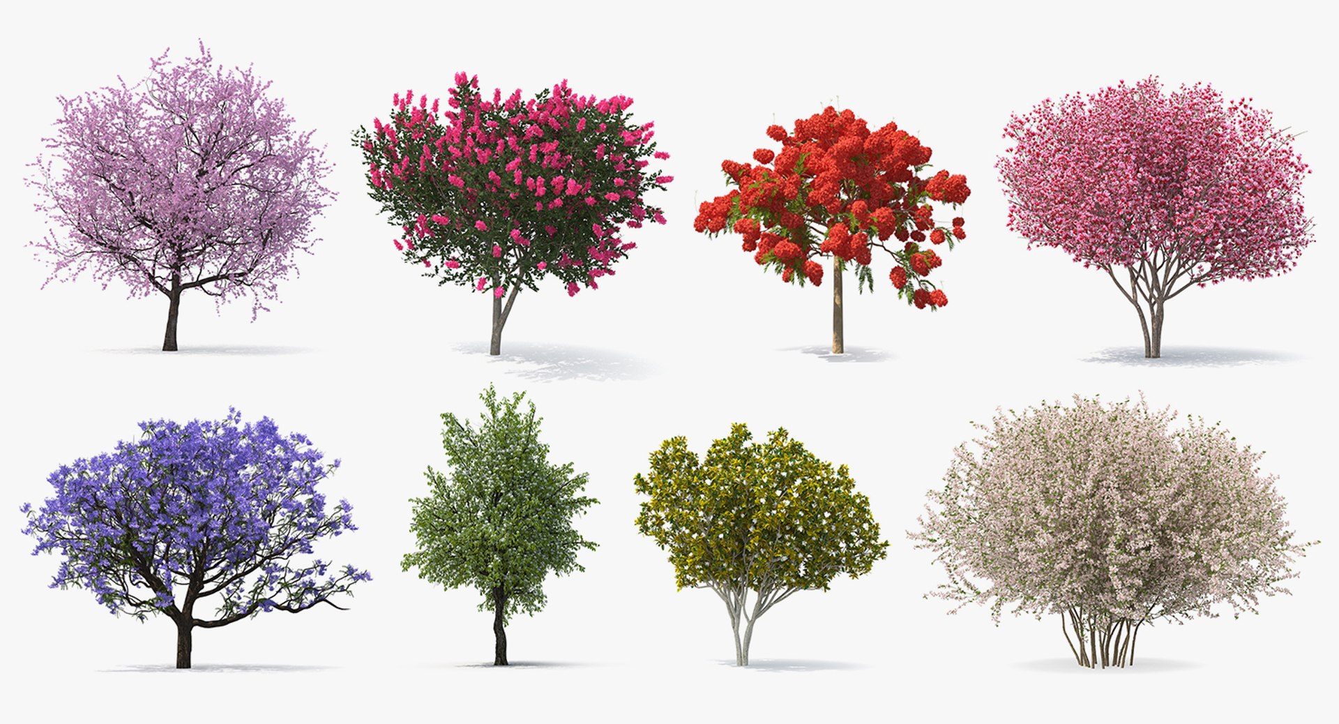 flowering bushes trees 5 3D https://p.turbosquid.com/ts-thumb/Hz/bYCAkO/9bLVIIYl/floweringbushesandtreescollection53dmodel002/jpg/1585054127/1920x1080/fit_q87/f45bb734da44e0af4b916ad57cb48ff0cc16b8fe/floweringbushesandtreescollection53dmodel002.jpg