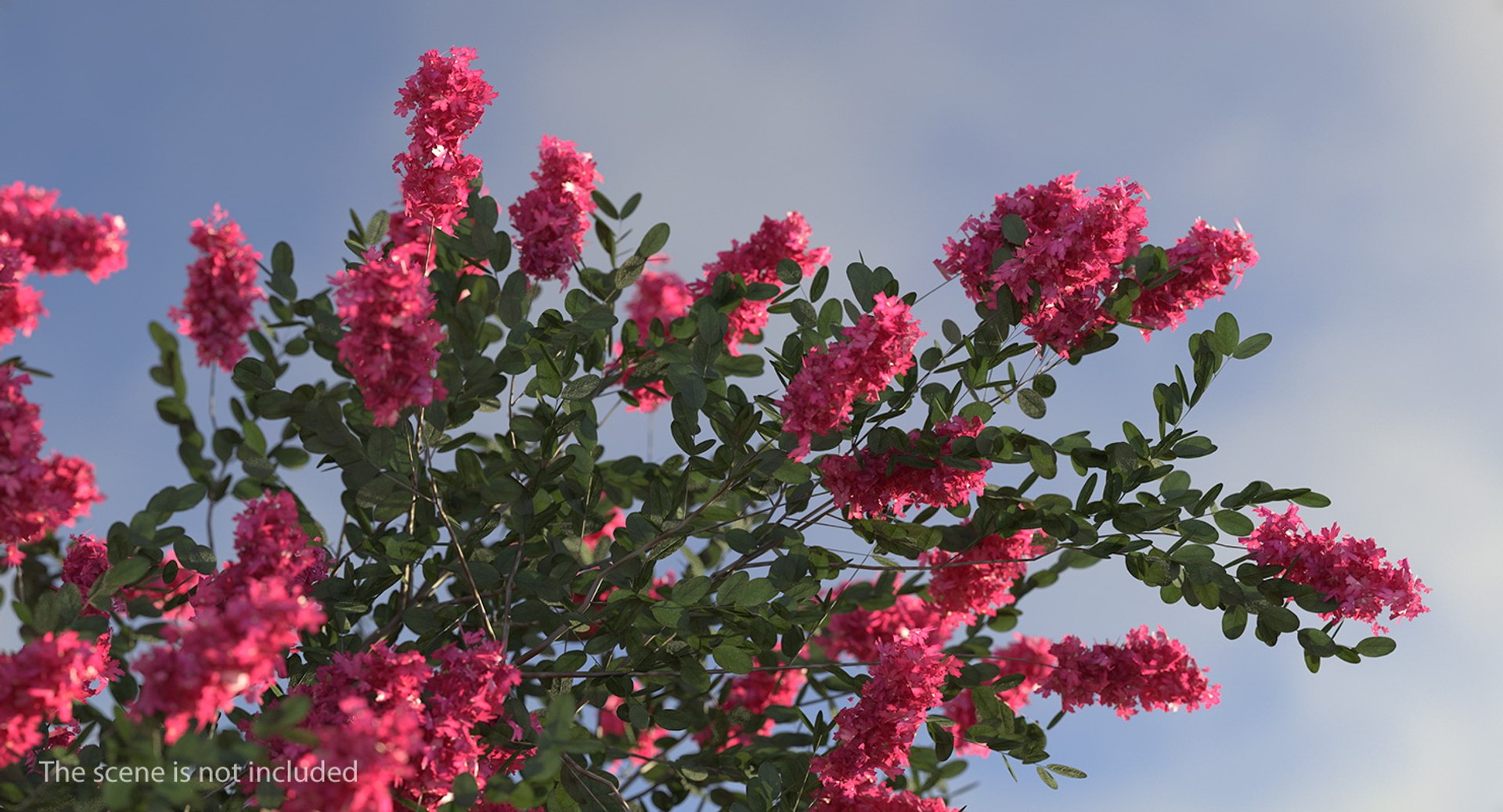 flowering bushes trees 5 3D https://p.turbosquid.com/ts-thumb/Hz/bYCAkO/H7ZYM01g/floweringbushesandtreescollection53dmodel074/jpg/1585054247/1920x1080/fit_q87/a80779e4b5e3b5f0245266514443f2732dd75843/floweringbushesandtreescollection53dmodel074.jpg
