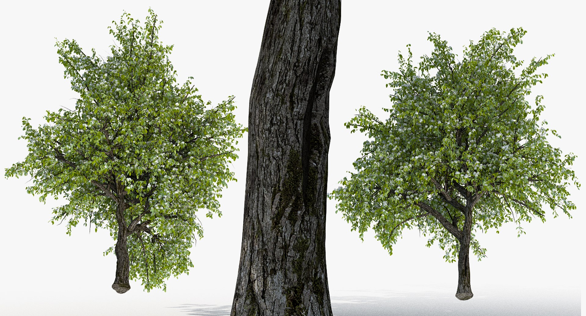 flowering bushes trees 5 3D https://p.turbosquid.com/ts-thumb/Hz/bYCAkO/IQKvzTHK/floweringbushesandtreescollection53dmodel036/jpg/1585054184/1920x1080/fit_q87/780347092d3949a0f6472d2a80a5013fd9403d70/floweringbushesandtreescollection53dmodel036.jpg