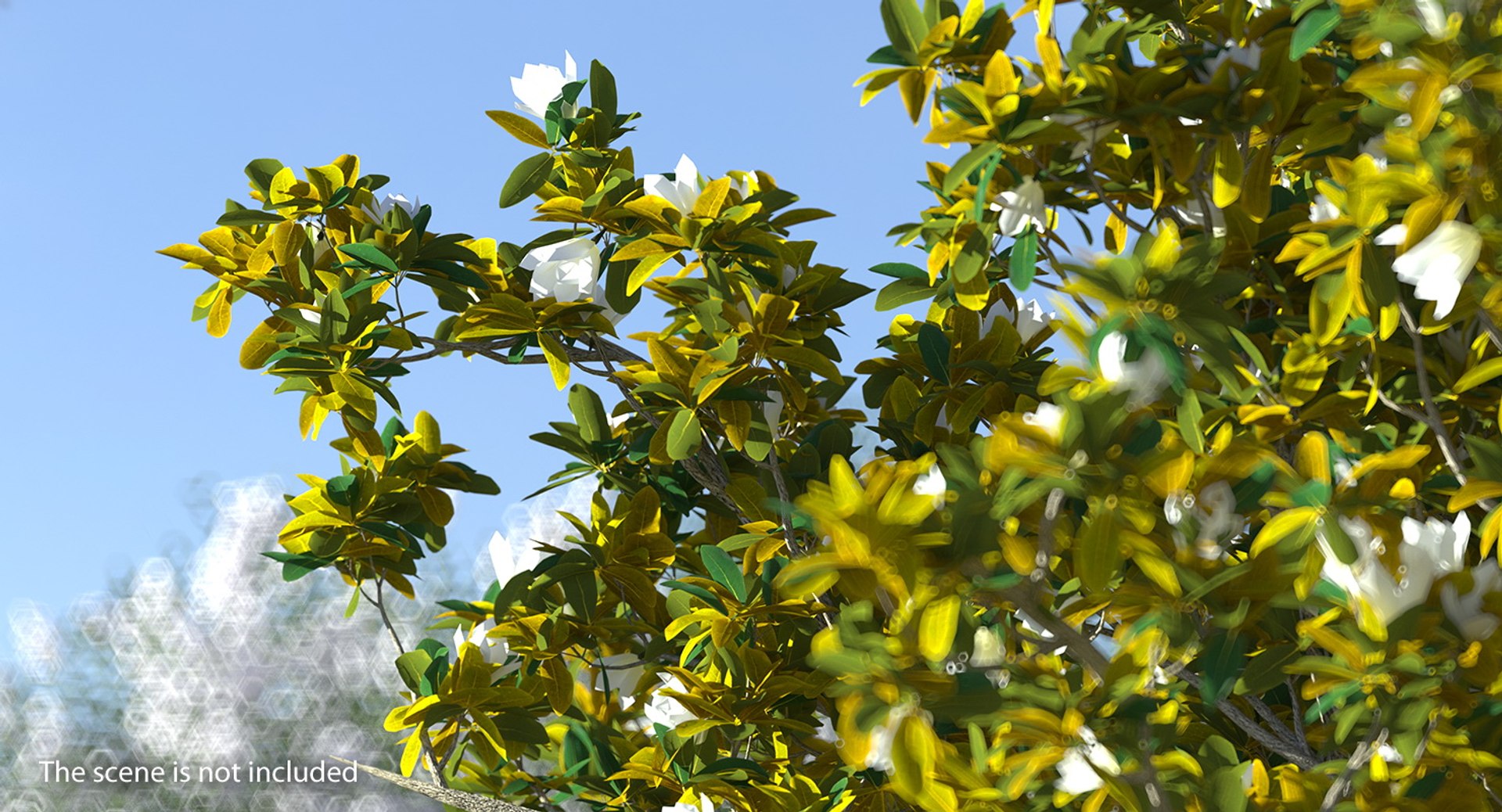 flowering bushes trees 5 3D https://p.turbosquid.com/ts-thumb/Hz/bYCAkO/RCoBS6FY/floweringbushesandtreescollection53dmodel045/jpg/1585054199/1920x1080/fit_q87/29d7e8c4ce940af9fd37f47402c47743b7b92456/floweringbushesandtreescollection53dmodel045.jpg
