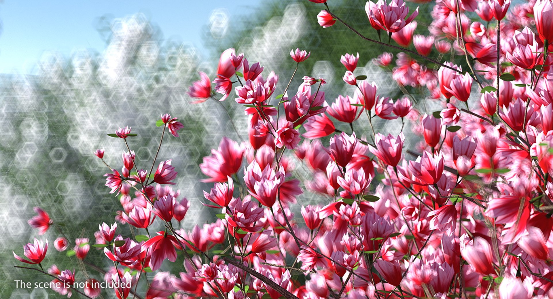 flowering bushes trees 5 3D https://p.turbosquid.com/ts-thumb/Hz/bYCAkO/RIlXEZYx/floweringbushesandtreescollection53dmodel058/jpg/1585054221/1920x1080/fit_q87/438fab9d79c9259208d398fac1bfdf3bc82ec570/floweringbushesandtreescollection53dmodel058.jpg