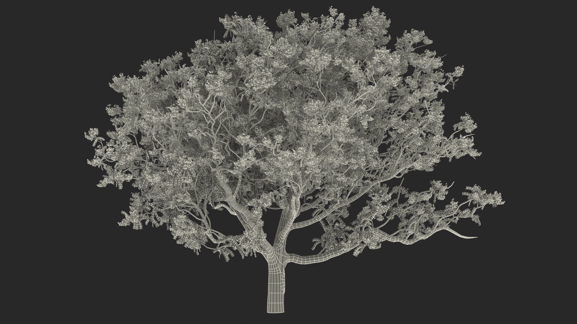 flowering bushes trees 5 3D https://p.turbosquid.com/ts-thumb/Hz/bYCAkO/XqnfZlFj/floweringbushesandtreescollection53dmodel079/jpg/1585054256/1920x1080/fit_q87/a6c989a8767d6e80bd4eed65fedc377ce756bd58/floweringbushesandtreescollection53dmodel079.jpg