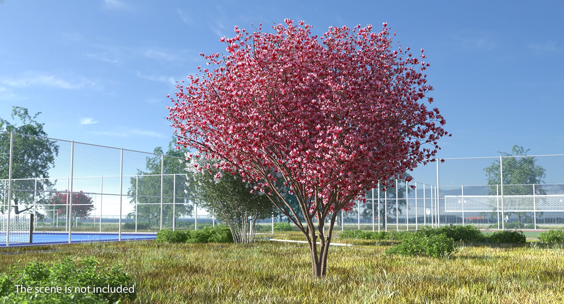 flowering bushes trees 5 3D https://p.turbosquid.com/ts-thumb/Hz/bYCAkO/bMGXAx4i/floweringbushesandtreescollection53dmodel056/jpg/1585054218/1920x1080/fit_q87/c6ea55e9e2e8b3f7449153be7cdbb5930195e20a/floweringbushesandtreescollection53dmodel056.jpg